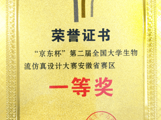 beat365学生在第二届全国大学生物流仿真设计大赛（安徽赛区）中喜获佳绩