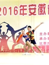 beat365健美操队在2016年安徽省大学生健美操比赛中喜获佳绩