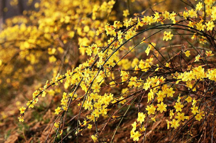 23b6f3a37b554f03b695110e875ab67e.jpg 23b6f3a37b554f03b695110e875ab67e.jpg