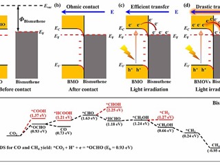 beat365研究团队在《Adv. Mater.》发表研究成果